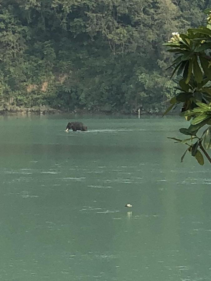Ganga Forest View Rishīkesh Eksteriør billede
